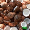 noix de coco à vendre