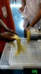 Machine de fabrication de spaghetti à base de farine de manioc 