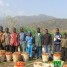 GIC des producteurs de tomate