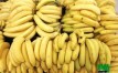 banane douce bio à vendre