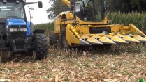 entreprise agricole