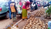 noix et huile de coco à vendre