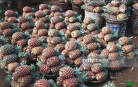 ananas à vendre