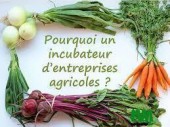 incubateur agropastoraux