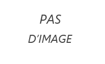 amande de mangue sauvage
